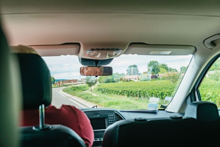 From Beaune: Burgundy Day Trip with 14 Wine Tastings - Lunch on your own: plan for Burgundy comfort food, not a quick snack