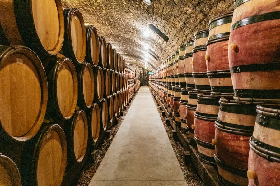 From Beaune: Burgundy Day Trip with 14 Wine Tastings - Nuits-Saint-Georges: cellar time and Pinot Noir focus