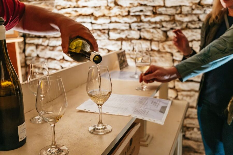 From Beaune: Burgundy Day Trip with 14 Wine Tastings - Morning pickup in Beaune, then you’re out through the vineyards
