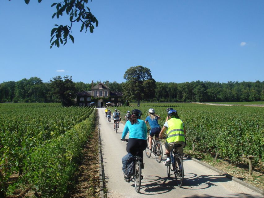 From Beaune: Full-Day Bicycle and Wine Tour in Burgundy - From Beaune Hills to Vine Rows, the day starts simple