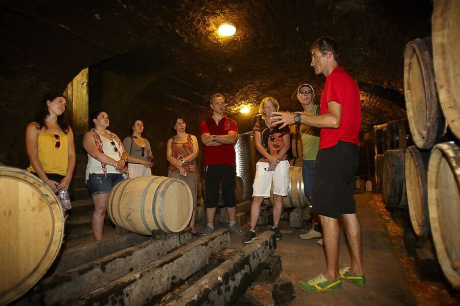 From Beaune: Full-Day Bicycle and Wine Tour in Burgundy - Cycling the Côte de Beaune: pretty roads and real wine lessons