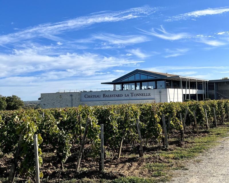 From Bordeaux: Afternoon Saint-Emilion Wine Tasting & snack - The tasting lineup: how three to four wines helps (and where it falls short)