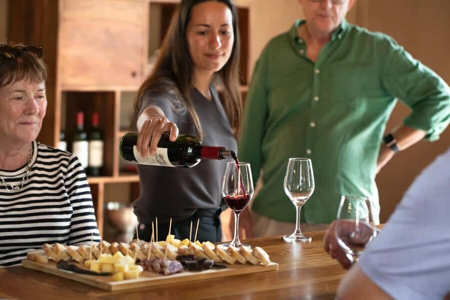 From Bordeaux: Afternoon Saint-Emilion Wine Tasting & snack - Guides set the tone: what stands out about the people