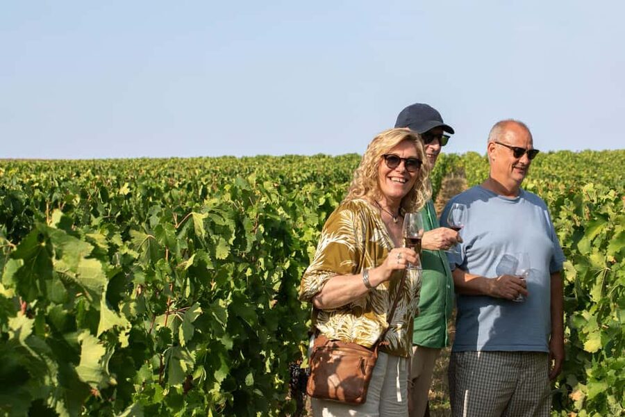 From Bordeaux: Afternoon Saint-Emilion Wine Tasting & snack - Meeting at the Girondins column: simple start, clear pacing