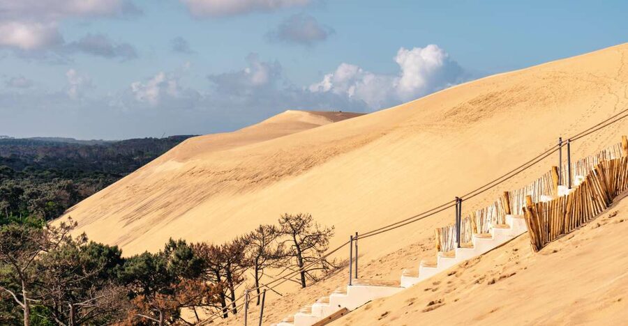 From Bordeaux: Arcachon Bay Full Day Tour and Oyster Lunch - Why Arcachon Bay Fits So Well as a Bordeaux Day Trip
