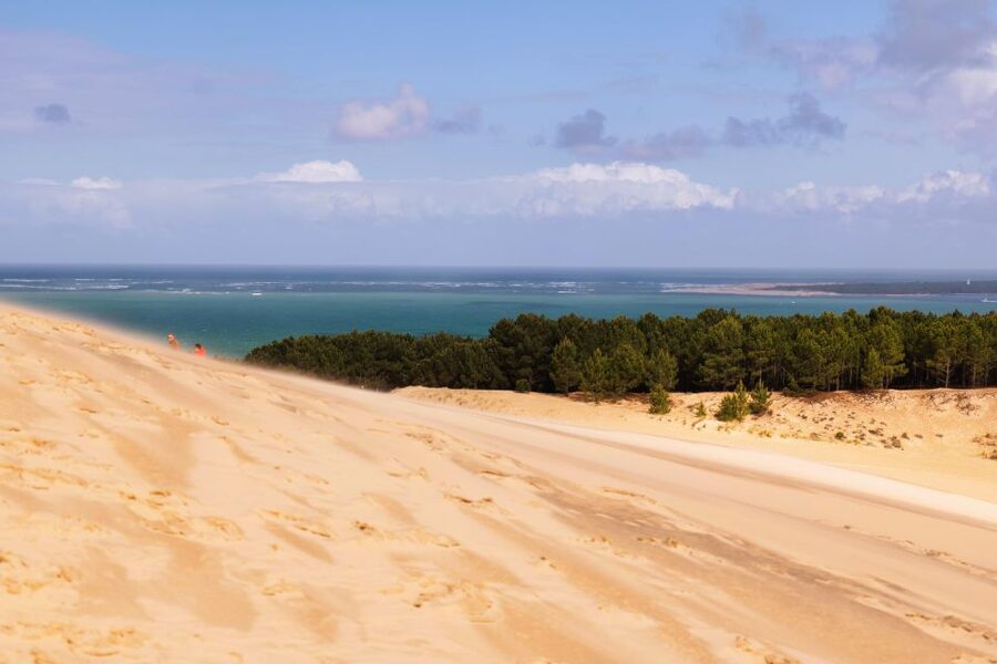 From Bordeaux: Arcachon Bay Full Day Tour and Oyster Lunch - Climbing Dune du Pilat and Enjoying the Wine at the Summit