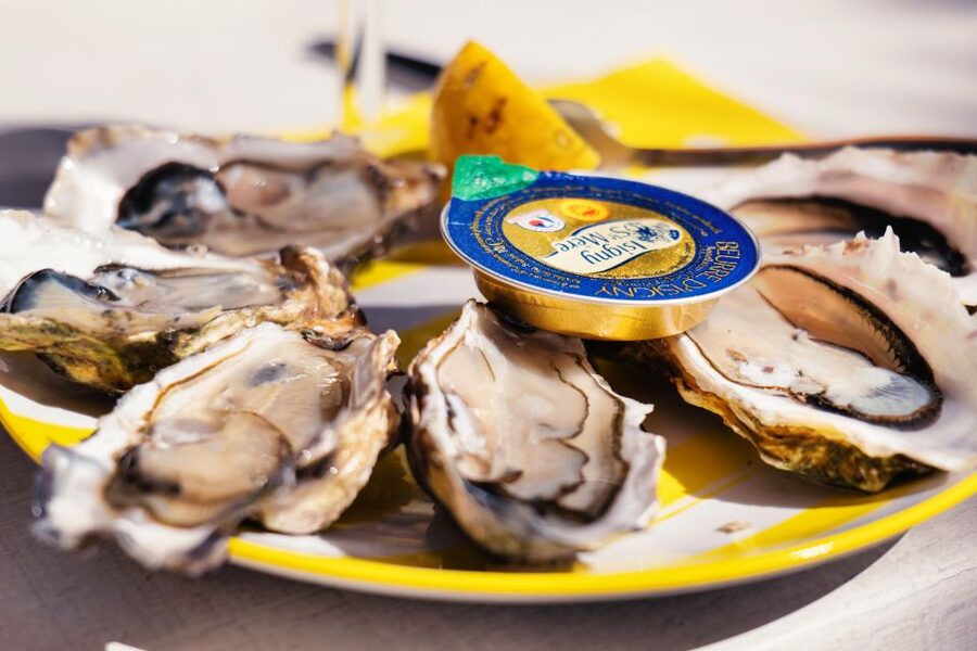From Bordeaux: Arcachon Bay Full Day Tour and Oyster Lunch - Price and Value for $187: What You Are Really Buying
