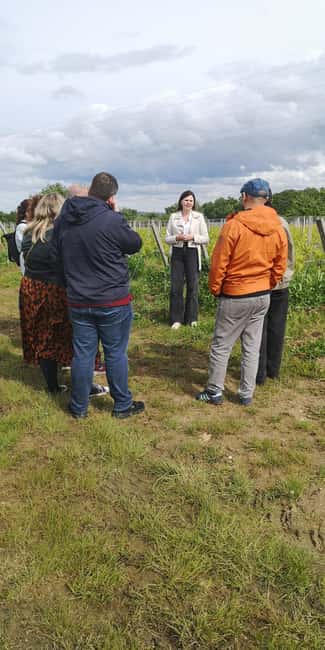 From Bordeaux: Bordeaux wine tour off the beaten path - Where the tour starts at Cité du Vin (and how to not miss it)
