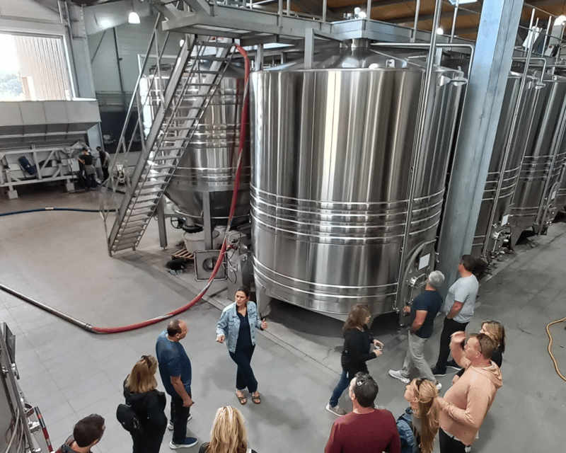 From Bordeaux: Bordeaux wine tour off the beaten path - What the guided format gets you (and what the best guides do)