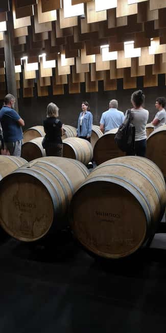 From Bordeaux: Bordeaux wine tour off the beaten path - Who this tour is best for (and who should skip it)