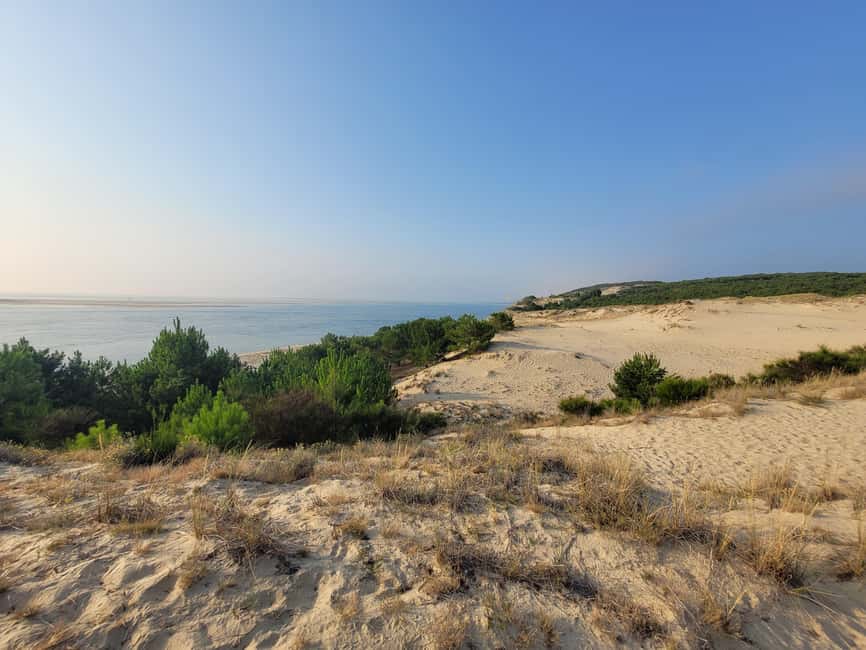 From Bordeaux: Dune du Pilat, Arcachon Bay and Oyster Village Private Tour - Key things to know before you go