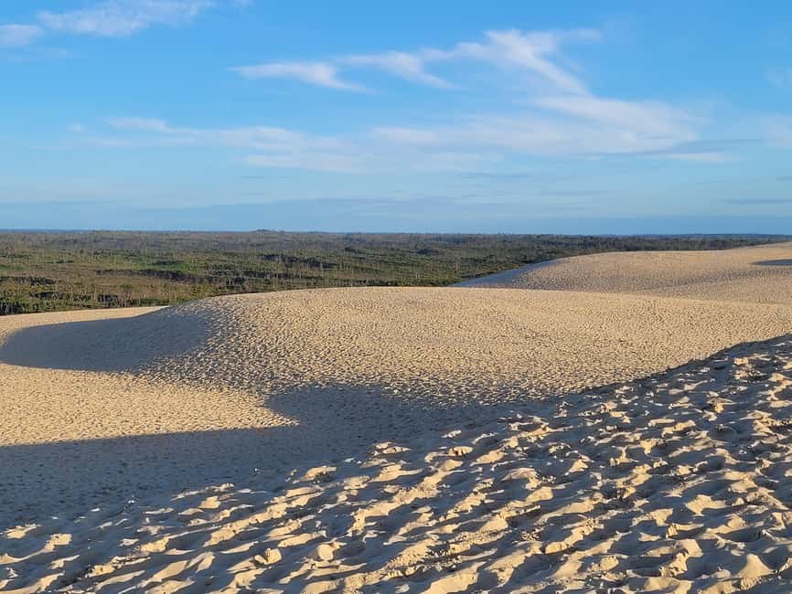 From Bordeaux: Dune du Pilat, Arcachon Bay and Oyster Village Private Tour - Gujan-Mestras oyster village: salt marsh walk, wooden huts, and real farming
