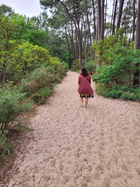 From Bordeaux: Dune du Pilat, Arcachon Bay and Oyster Village Private Tour - Timing that feels relaxed: from 9:00 a.m. to about 3:00 p.m.