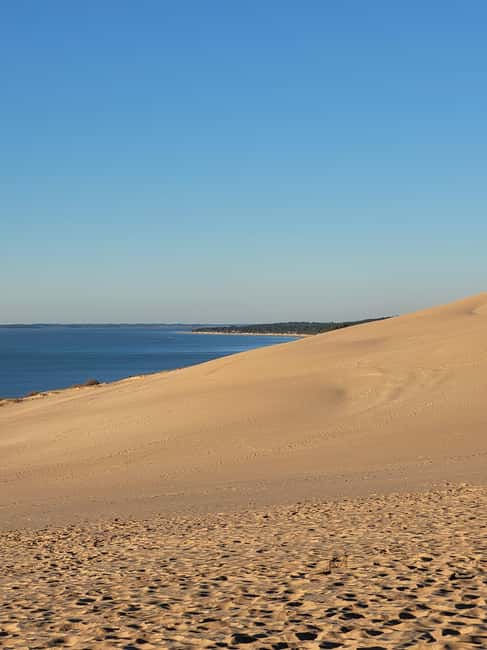 From Bordeaux: Dune du Pilat, Arcachon Bay and Oyster Village Private Tour - Guide quality and communication: English that actually helps