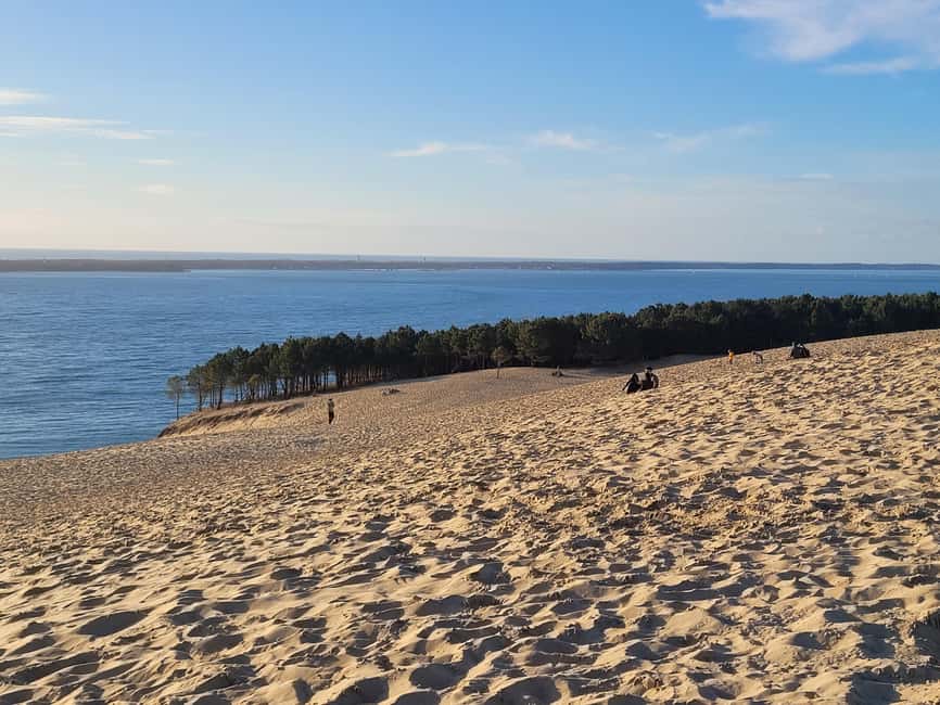 From Bordeaux: Dune du Pilat, Arcachon Bay and Oyster Village Private Tour - Practical tips that will make the day smoother
