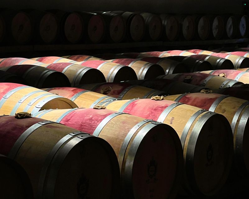 From Bordeaux: Essential Morning Tour with Wine Tasting - Should you book this morning tour?