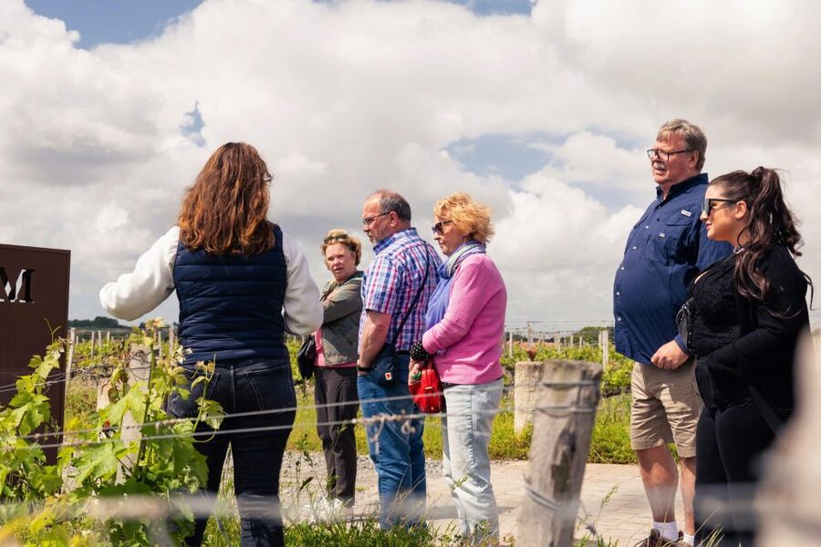 From Bordeaux: Essential Morning Tour with Wine Tasting - Getting there from Bordeaux: the minivan and the Margaux area