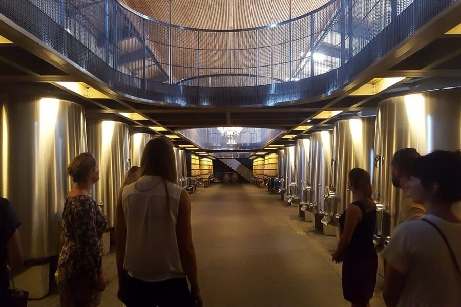 From Bordeaux: Full-Day Medoc Wine Tour - Price, food, and the practical rules that matter