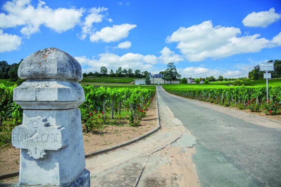 From Bordeaux: Full-Day St Emilion Wine Tasting Tour - Key highlights to expect