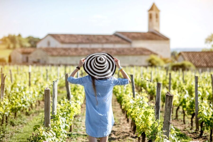 From Bordeaux: Full-Day St Emilion Wine Tasting Tour - Right Bank reds in one focused day