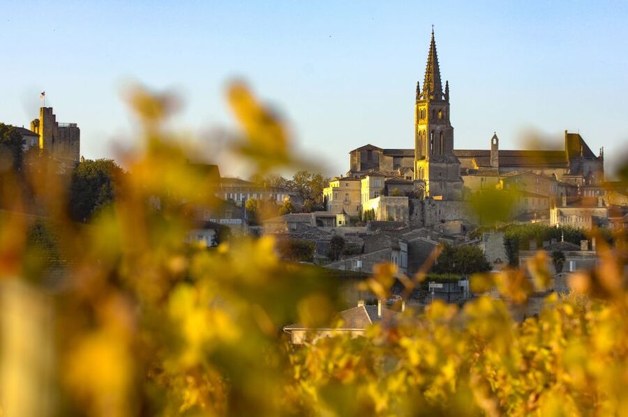 From Bordeaux: Full-Day St Emilion Wine Tasting Tour - Stop 1: your first chateau tasting, your training wheels