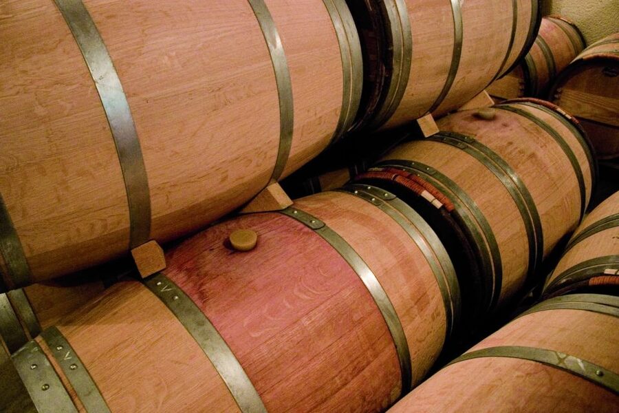 From Bordeaux: Full-Day St Emilion Wine Tasting Tour - How the guide shapes the experience