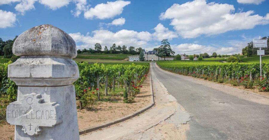 From Bordeaux: Full-Day St Emilion Wine Tasting Tour - 8 hours of driving and tastings, done in small doses