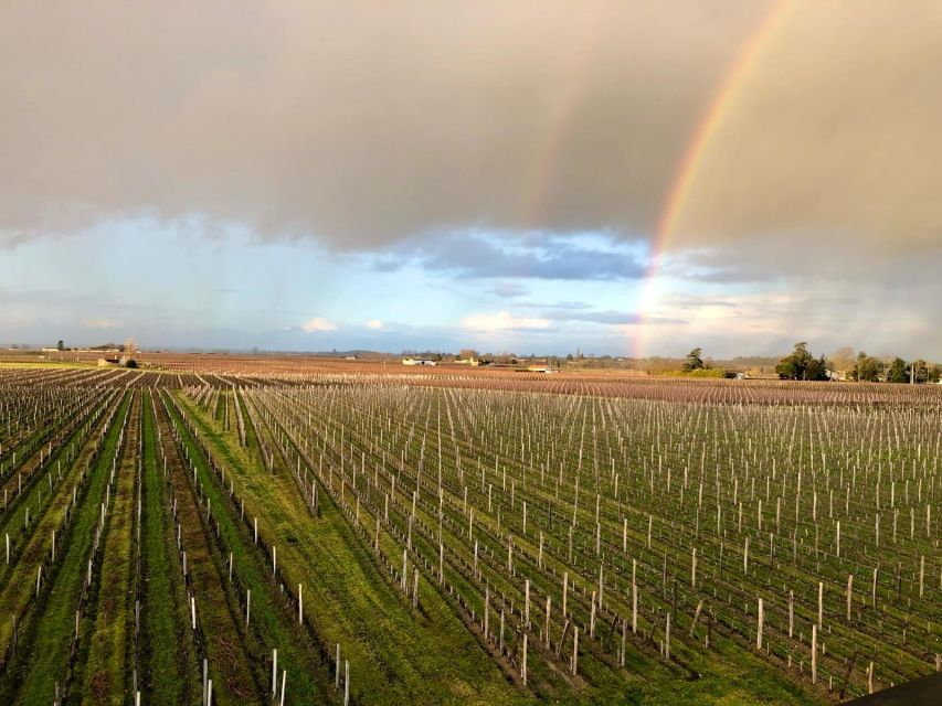 From Bordeaux: Half-Day Saint-Emilion Wine Tour - Key highlights worth marking on your day