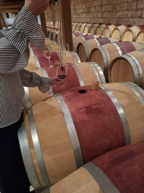 From Bordeaux: Medoc Wineries Tour with Tastings - A smooth Bordeaux to Medoc afternoon, without needing a rental car