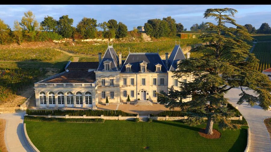 From Bordeaux: Private Wine Tour to Saint-Émilion - Grands Crus Tasting: How to Get the Most From It