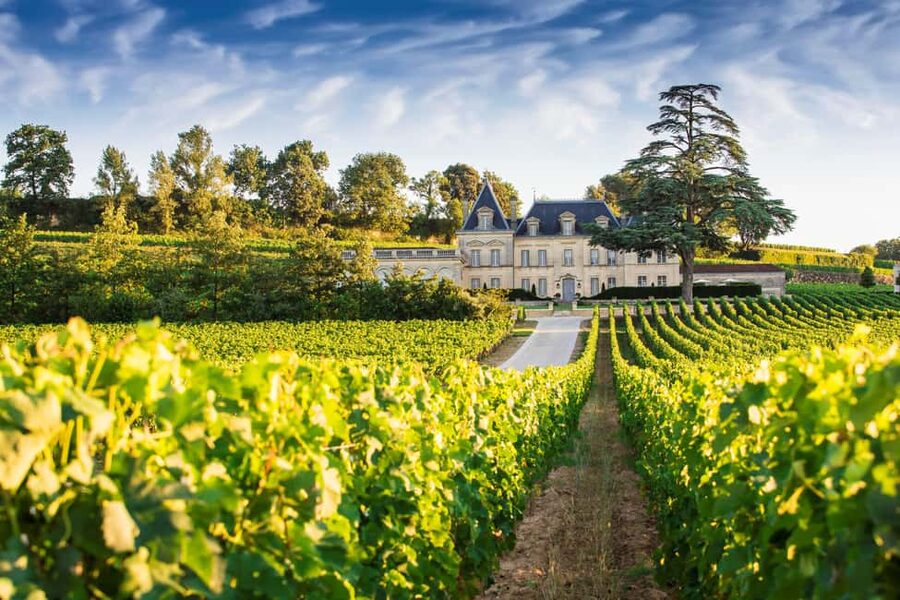 From Bordeaux: Private Wine Tour to Saint-Émilion - Walking the UNESCO Village of Saint-Émilion Without the Confusion