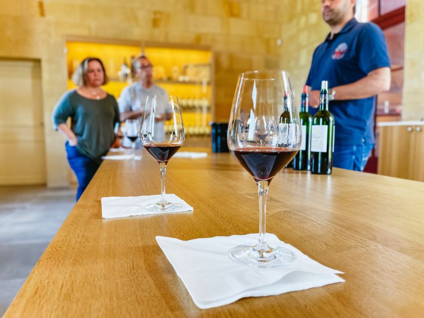 From Bordeaux: Saint-Emilion Guided Wine Tasting Tour - The big picture: a wine lesson plus real village time