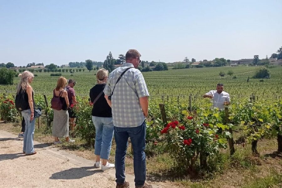 From Bordeaux: Saint-Emilion Guided Wine Tasting Tour - How the guide actually shapes the day