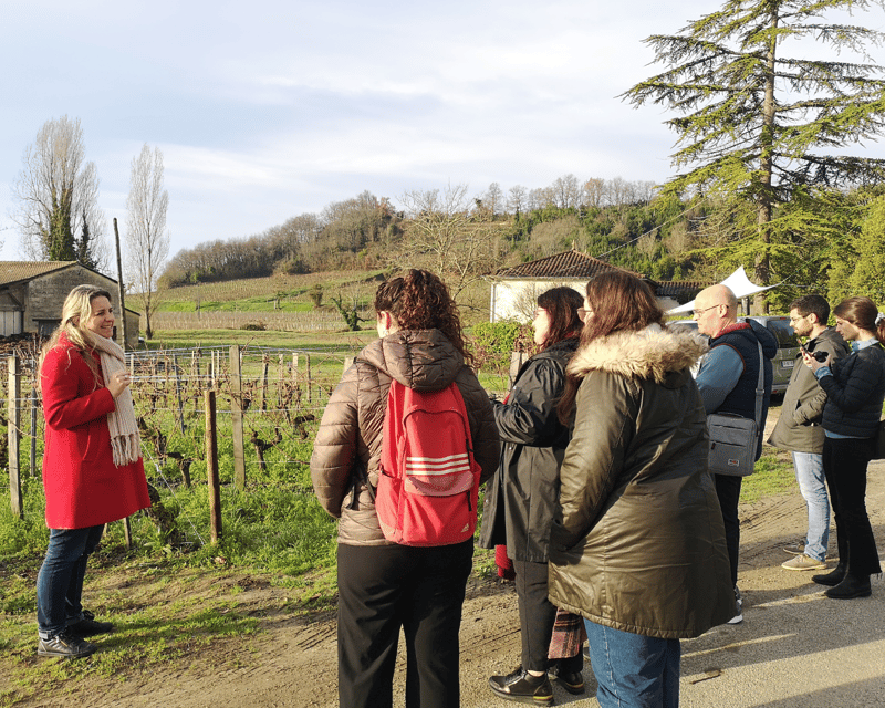 From Bordeaux: Saint-Émilion Half-Day Tour with Wine Tasting - Key Takeaways Before You Go