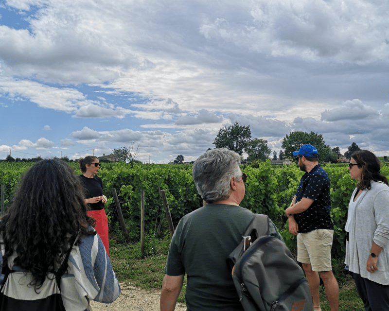 From Bordeaux: Saint-Émilion Half-Day Tour with Wine Tasting - From Bordeaux Pickup to Saint-Émilion’s Medieval Core