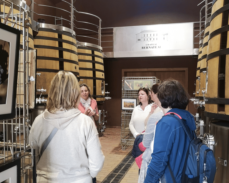 From Bordeaux: Saint-Émilion Half-Day Tour with Wine Tasting - Final Verdict: Should You Book This Saint-Émilion Half-Day?