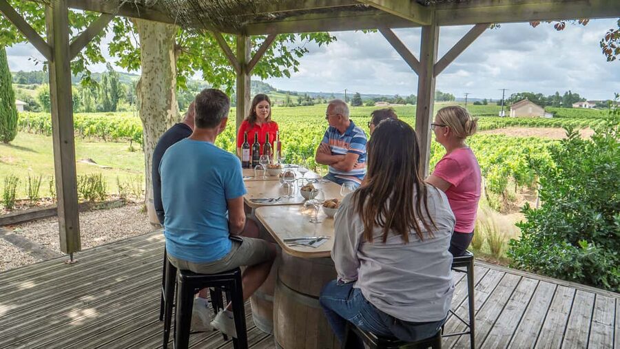 From Bordeaux: St-Emilion Day Tour with Tastings and Lunch - Saint-Émilion Village Time: UNESCO Streets and Medieval Wine Clues