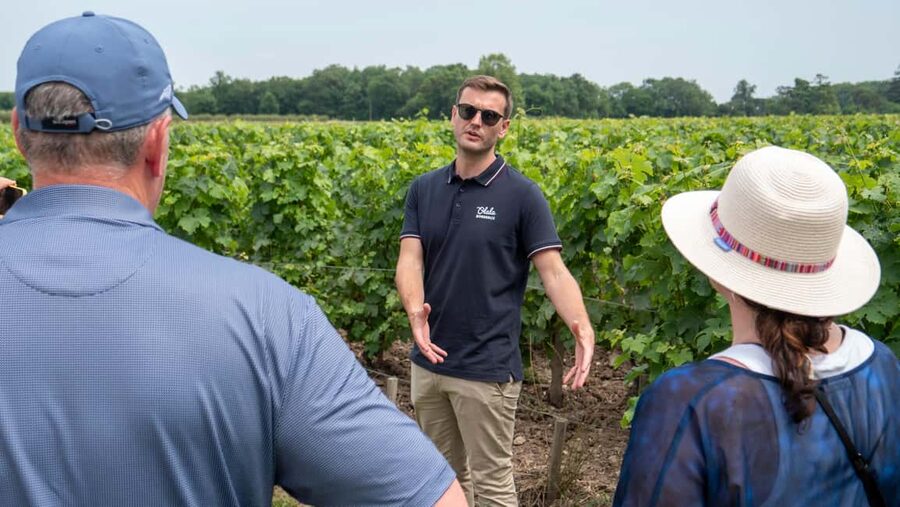 From Bordeaux: St-Emilion Day Tour with Tastings and Lunch - Price and Value: Is $182 a Fair Deal?