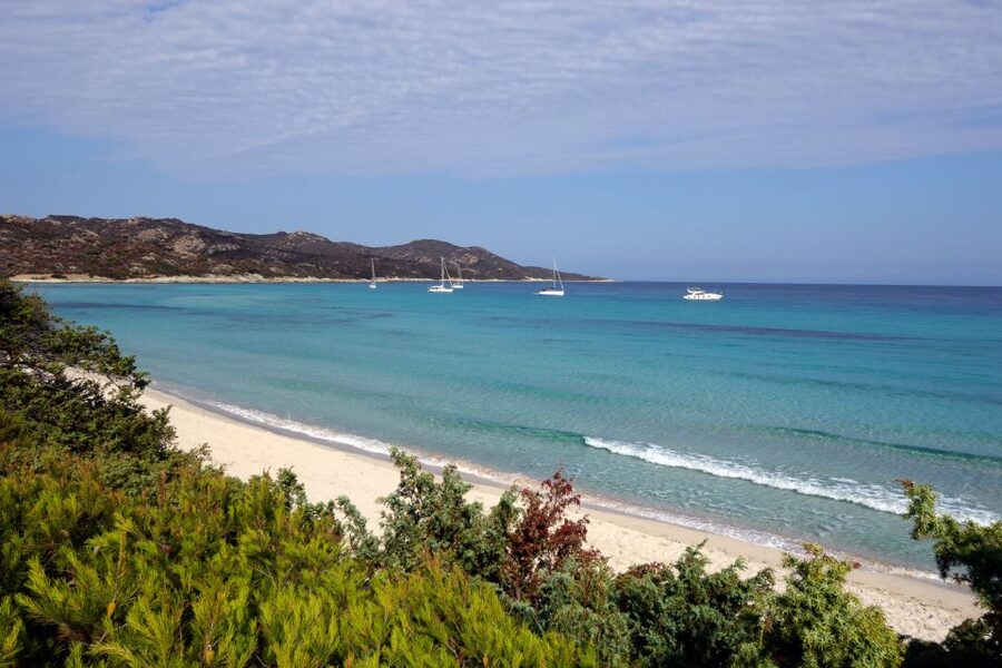 From Calvi: Agriate Guided Jeep Tour to Lotu and Saleccia - Key Things to Know Before You Go