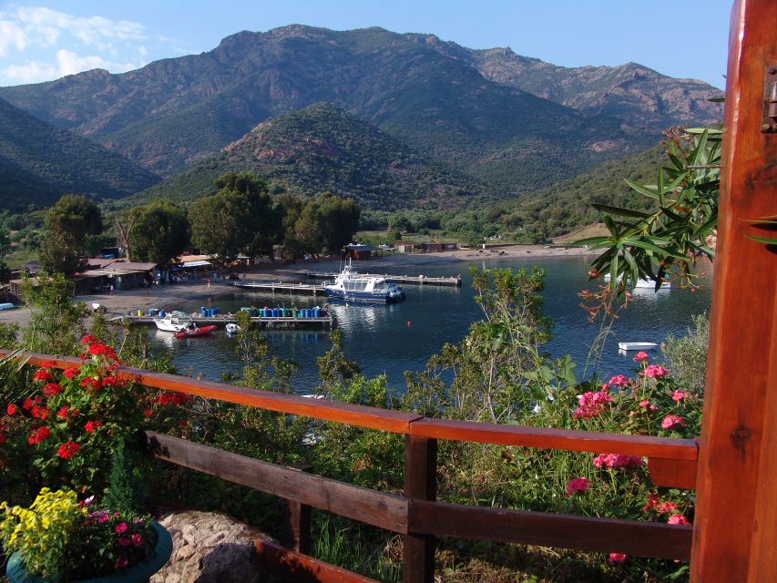 From Cargèse: Scandola Day Tour & Girolata Lunch Stop - Gulf of Porto to UNESCO Scandola: protected waters and real wildlife context