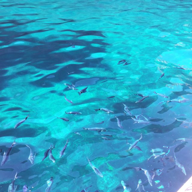 From Cargèse: Scandola Day Tour & Girolata Lunch Stop - Calanques de Piana and the return to Cargèse: wrap-up with one more scenic hit