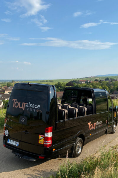 Alsace Medieval and Wine Tasting Day Tour