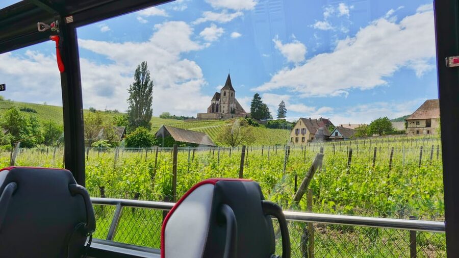 From Colmar: Alsace Medieval and Wine Tasting Day Tour - Winery stop: one hour of Alsace wine tasting
