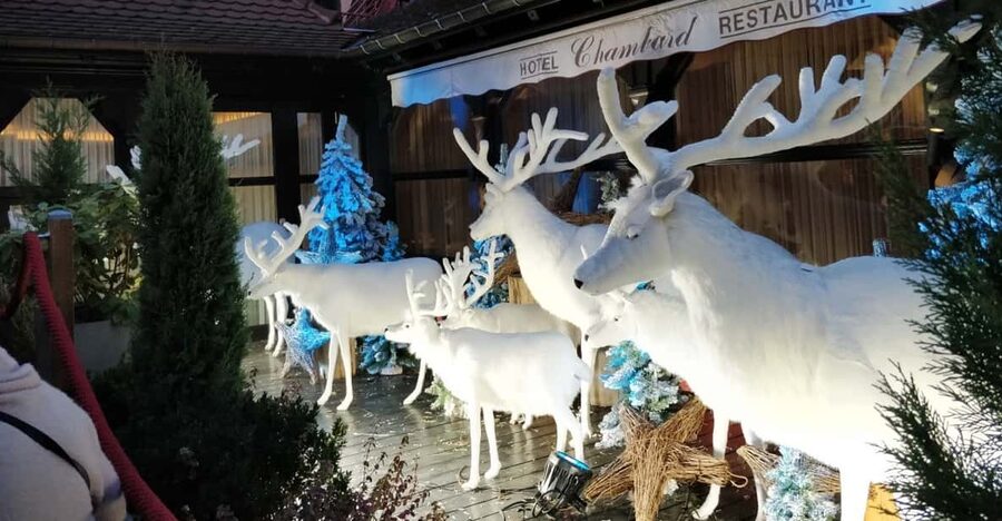 From Colmar: Christmas Markets Across 3 Borders - Key things to know before you go