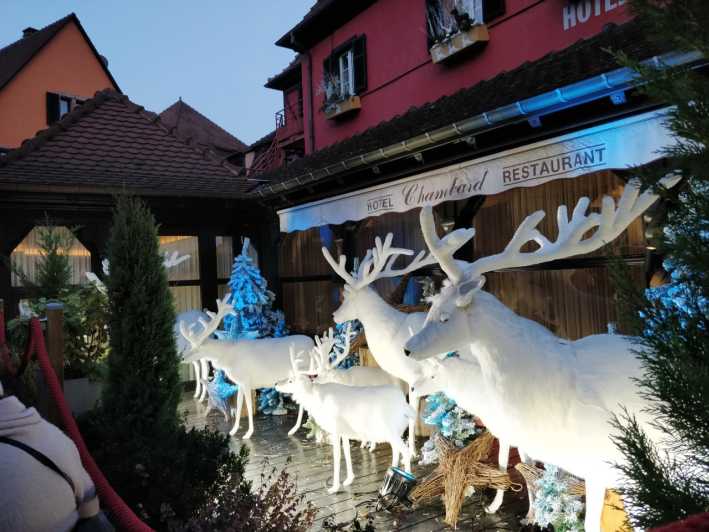 From Colmar: Christmas Markets Across 3 Borders - A one-day Christmas run that keeps the logistics sane