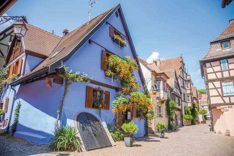 From Colmar: Haut-Koenigsbourg Castle and Villages Day Tour - Along the Alsace wine route, the views and the pacing