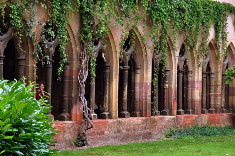 From Colmar: Haut-Koenigsbourg Castle and Villages Day Tour - Orschwiller, a second village stop that adds texture
