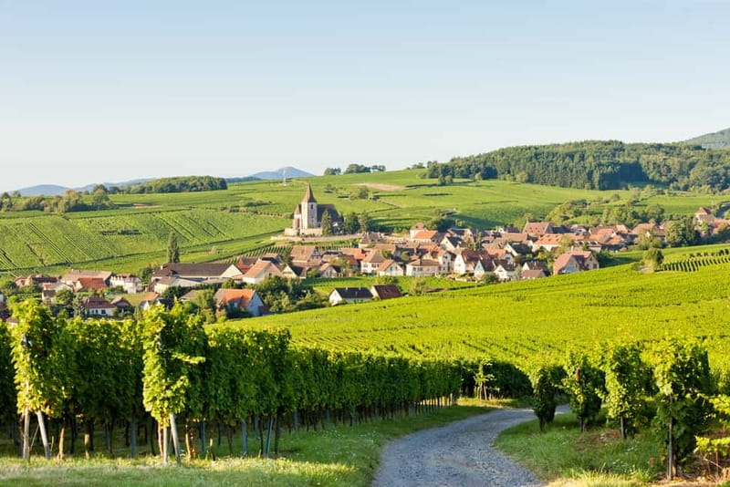 From Colmar: Haut-Koenigsbourg Castle and Villages Day Tour - Eguisheim’s half-timbered streets and the flower-box rhythm