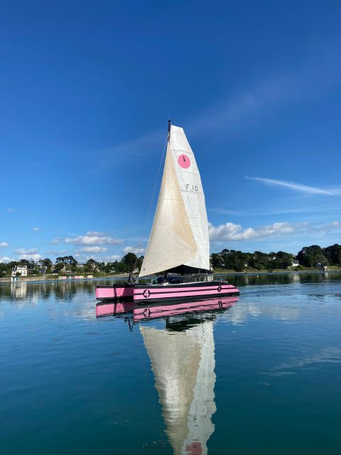 From Concarneau or Port la Forêt: Evening 2 hours navigation - Group Size and Boat Swaps: The Part You Should Not Ignore