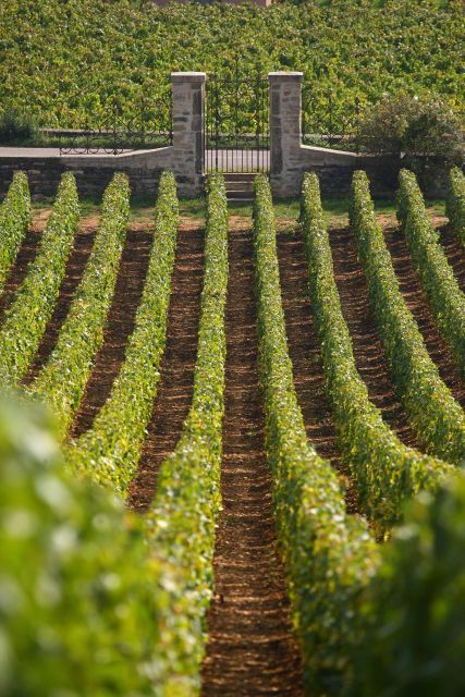 From: Dijon/Beaune: Burgundy Region Winery Tour with Lunch - Lunch in a charming estate: charcuterie and cheese that actually feels local